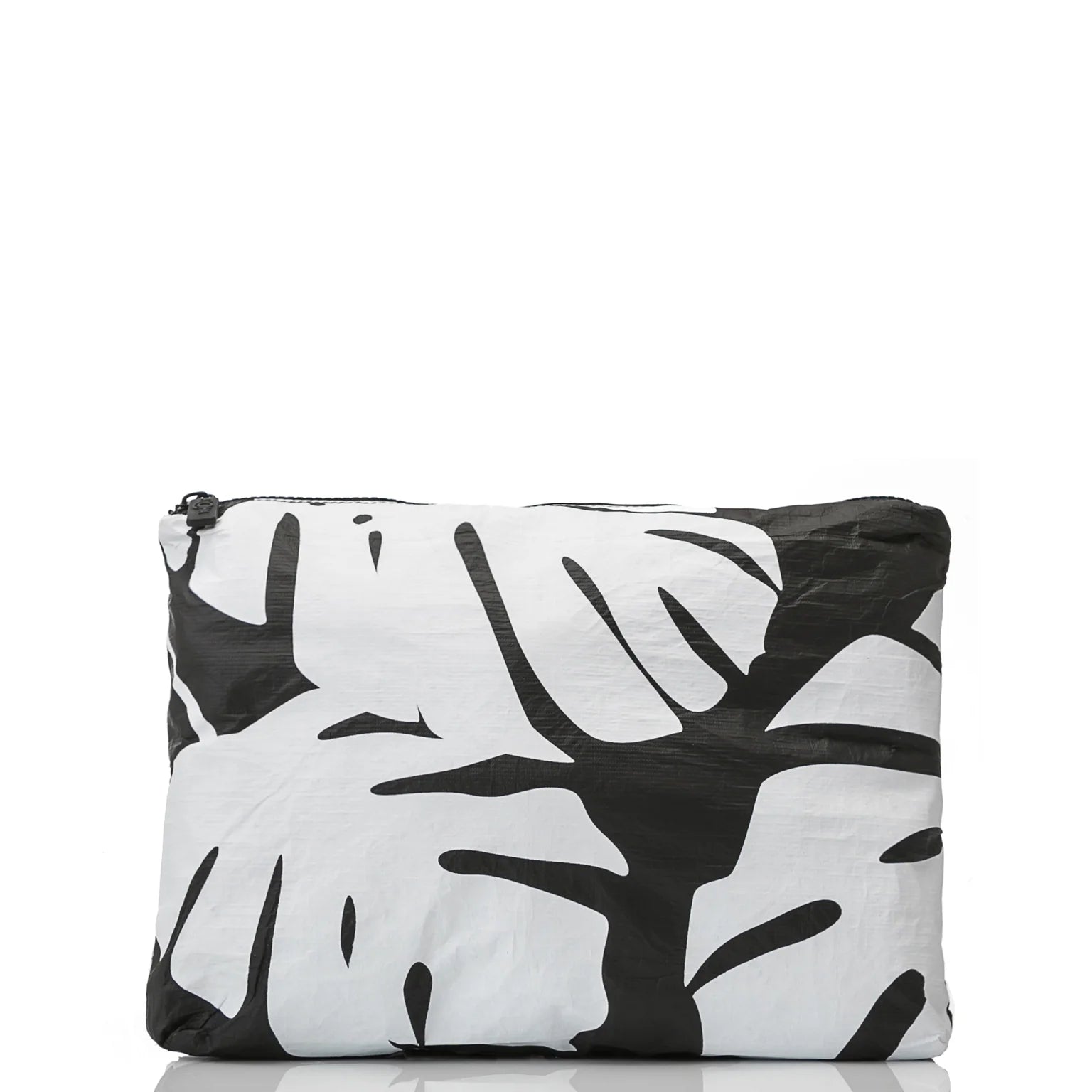 Mid Monstera