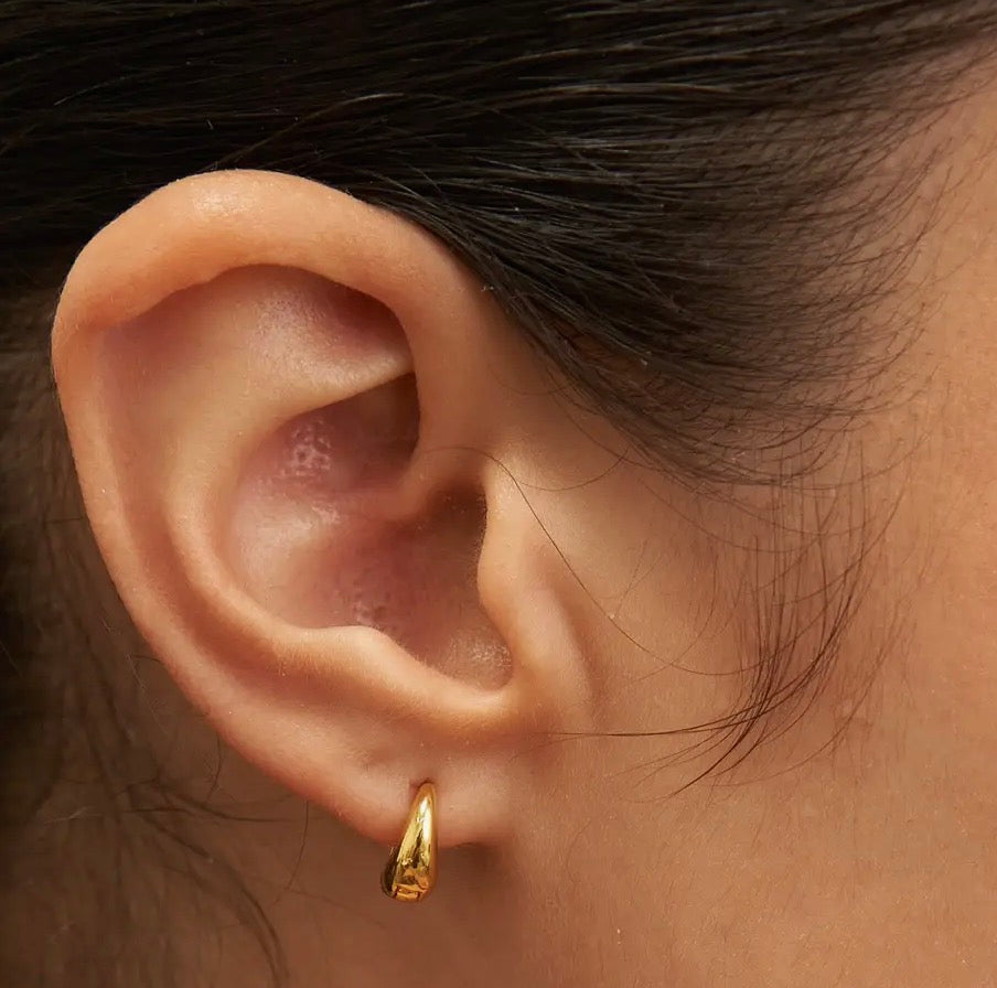 Dainty Zenith Hoops