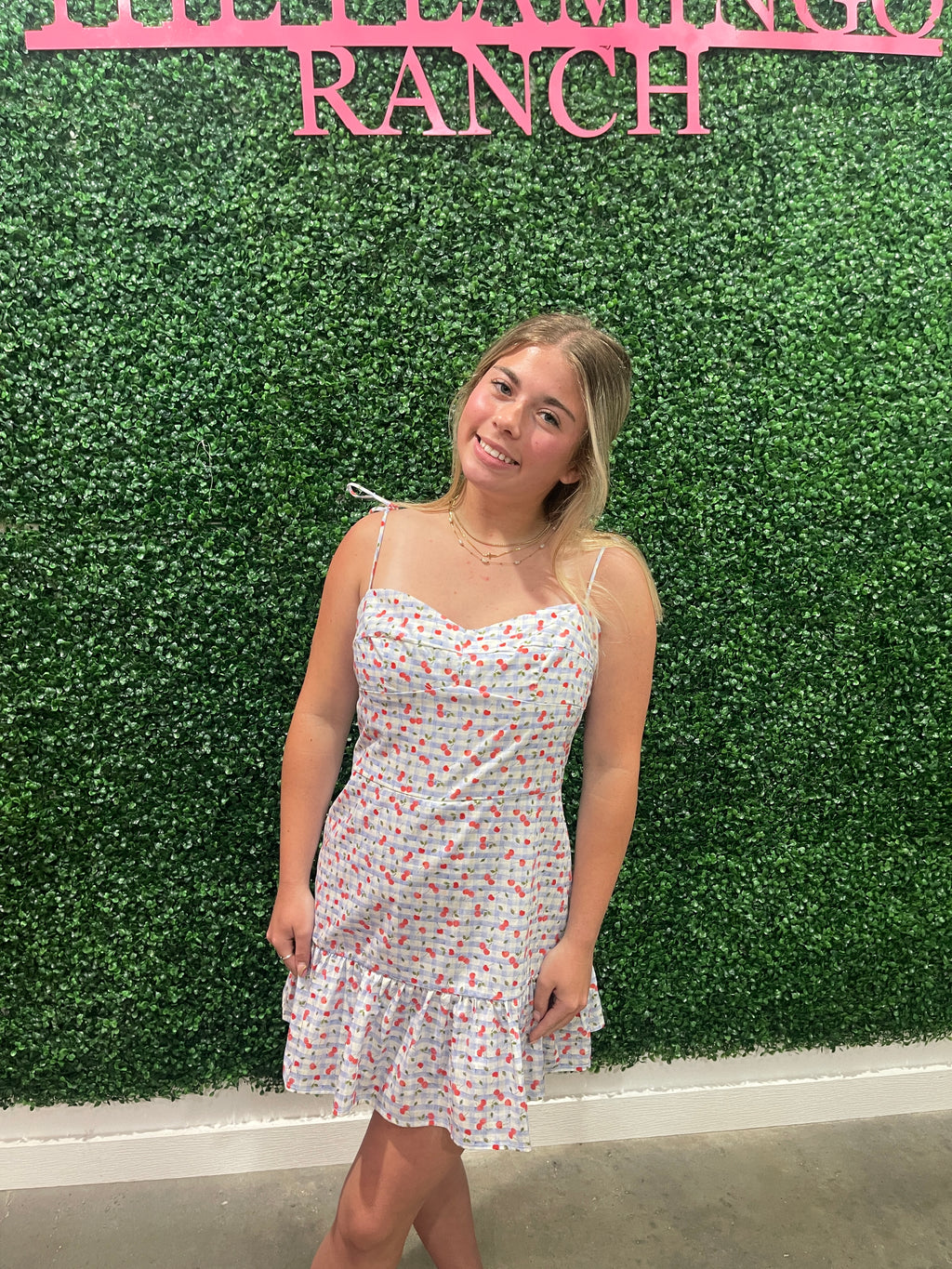 Vivi Cherry Check Romper