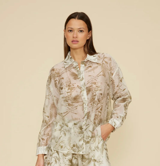 Cera Button Down