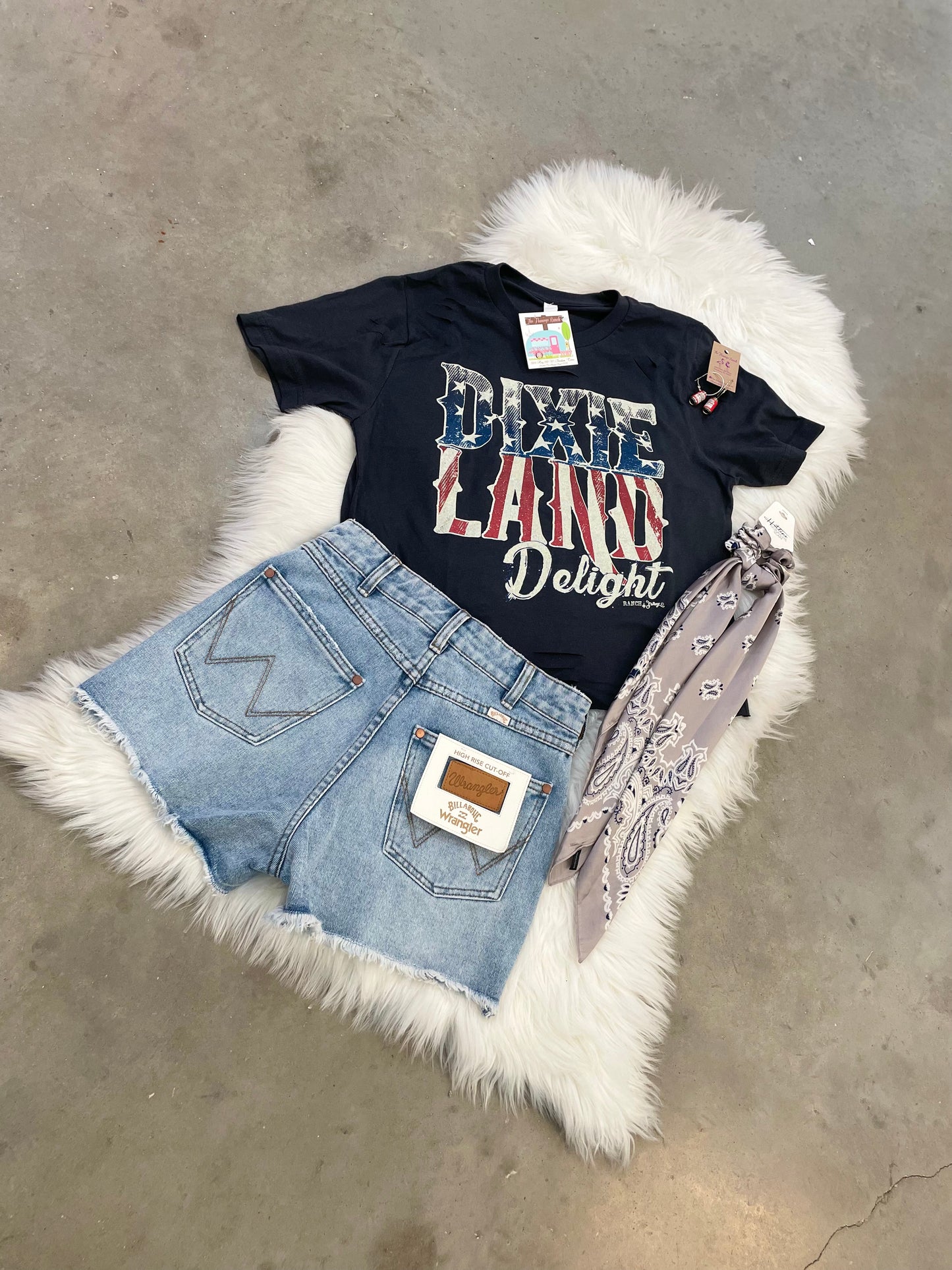 Dixie Land Delight Crop Distressed Tee